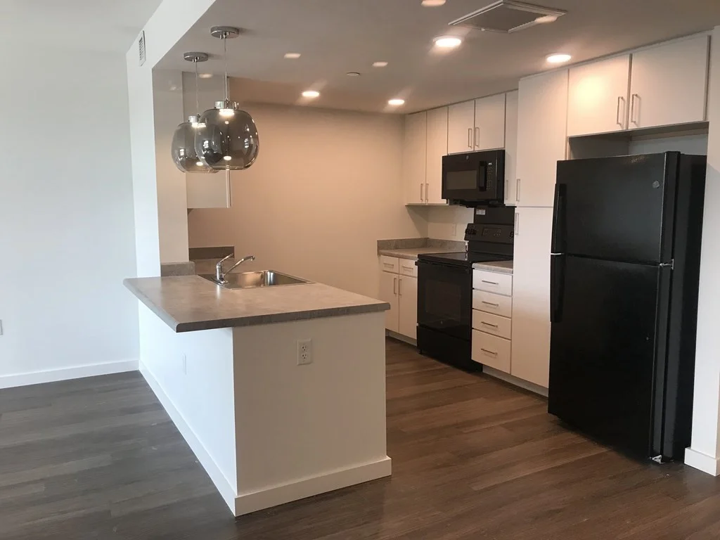 2 bed, 1 bath apartment for rent at 466 River St Unit 222, Mattapan — photo 2 of 17