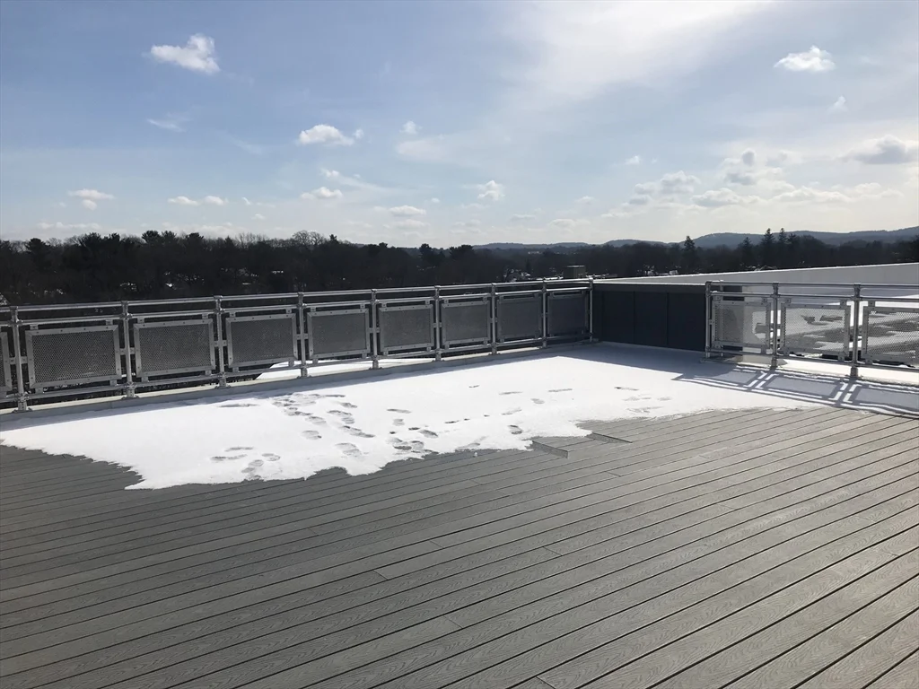 1 bed, 1 bath apartment for rent at 466 River St Unit 516, Mattapan — photo 12 of 16