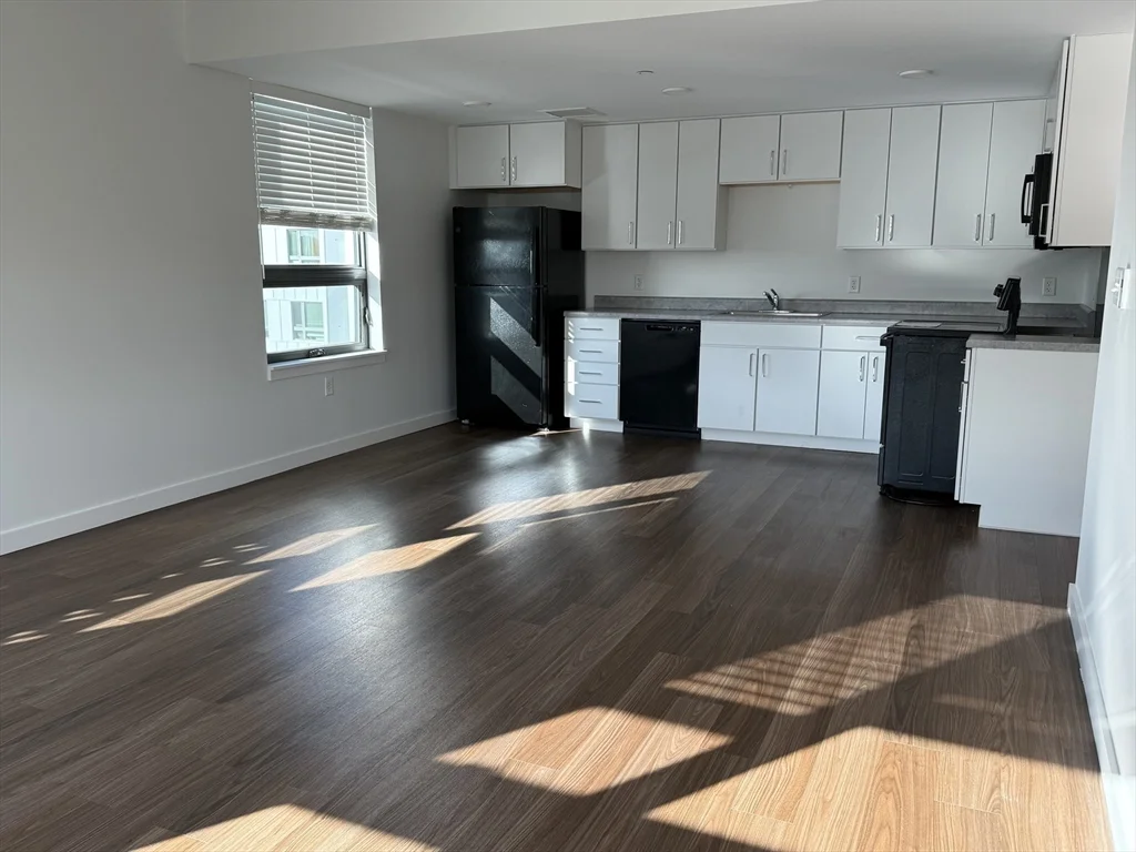 2 bed, 1 bath apartment for rent at 466 River St Unit 528, Mattapan