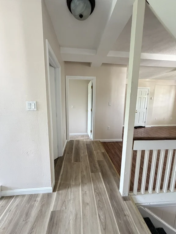2 bed, 1 bath apartment for rent at 47-49 Dunstable Rd Unit 2, Chelmsford — photo 19 of 20