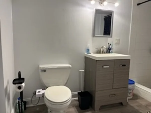 Studio bed, 1 bath apartment for rent at 47 Clifford St Unit Basement, Roxbury — photo 9 of 10