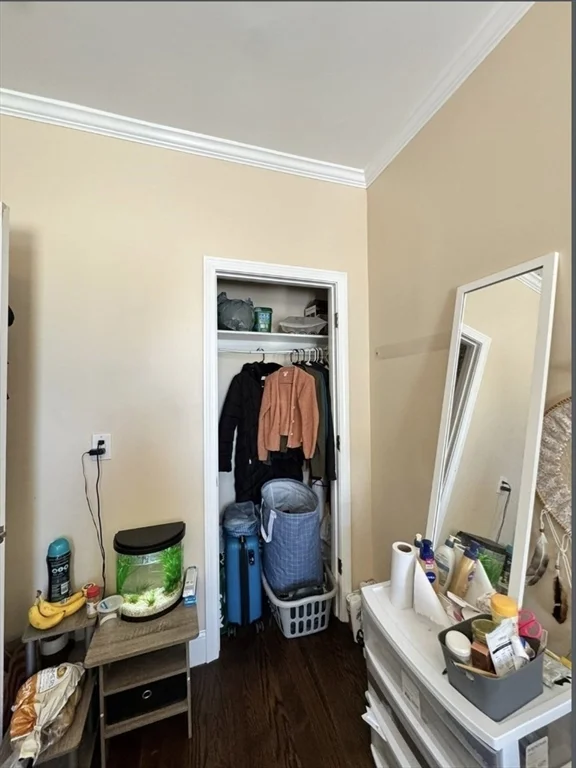 4 bed, 1 bath apartment for rent at 47 Dalrymple St Unit 3, Jamaica Plain — photo 3 of 13