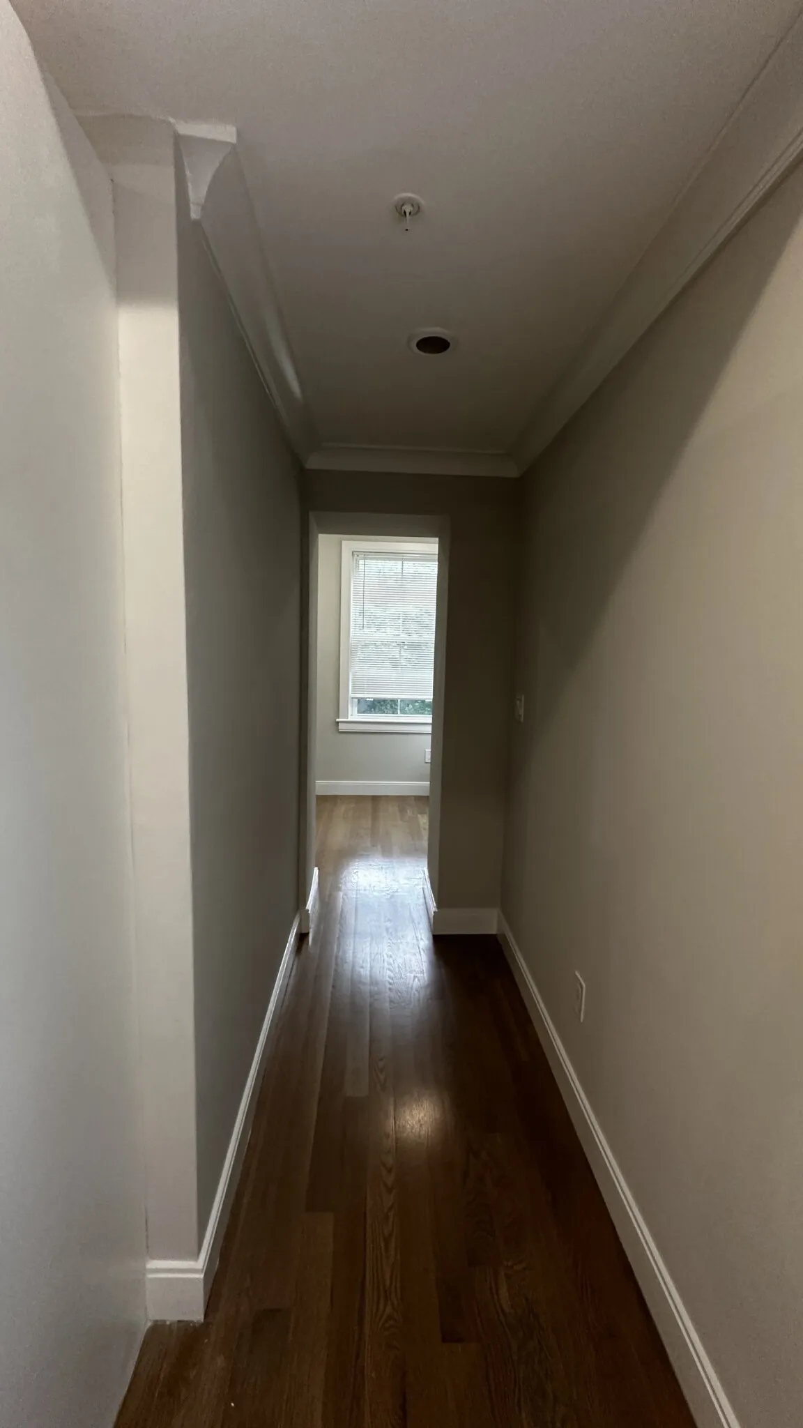 2 bed, 1 bath apartment for rent at 47 Englewood Ave Unit 7D, Brighton — photo 12 of 15