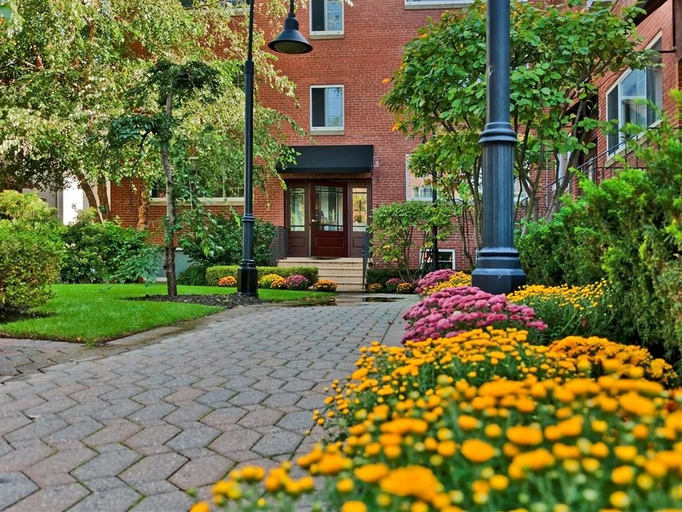 1 bed, 1 bath apartment for rent at 47 Green St Unit 1, Coolidge Corner — photo 8 of 13