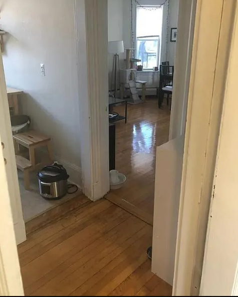 1 bed, 1 bath apartment for rent at 47 Inman St Unit 42, Mid-Cambridge — photo 7 of 15