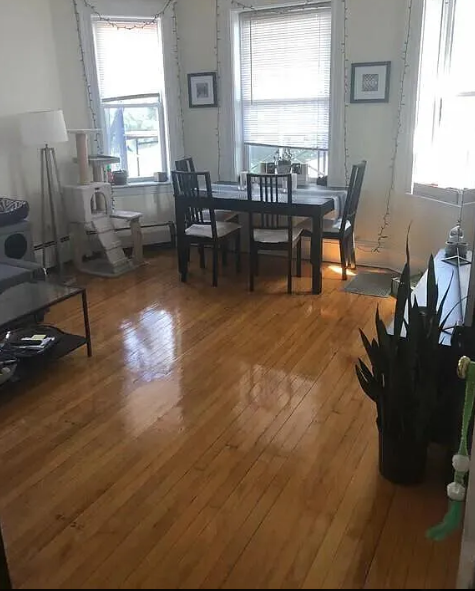 1 bed, 1 bath apartment for rent at 47 Inman St Unit 42, Mid-Cambridge — photo 3 of 15