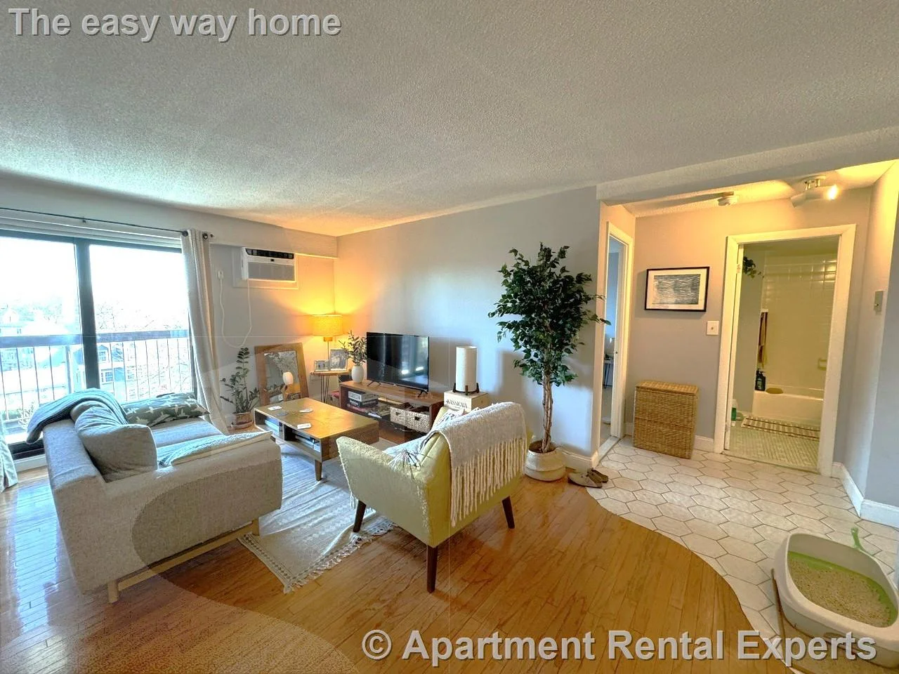 1 bed, 1 bath apartment for rent at 47 Mystic St Unit 5A, Arlington Center — photo 4 of 12