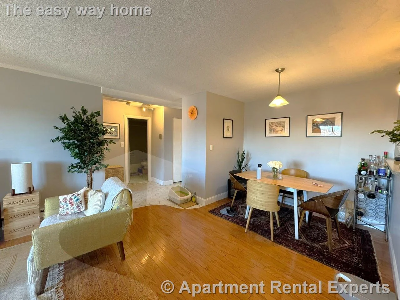 1 bed, 1 bath apartment for rent at 47 Mystic St Unit 5A, Arlington Center — photo 6 of 12