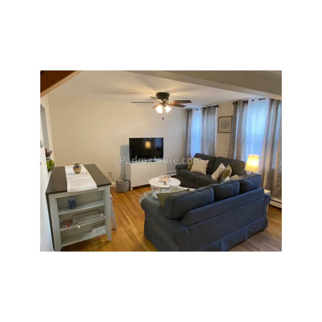 2 bed, 1 bath apartment for rent at 470 East 3rd St Unit 1, South Boston — photo 4 of 16