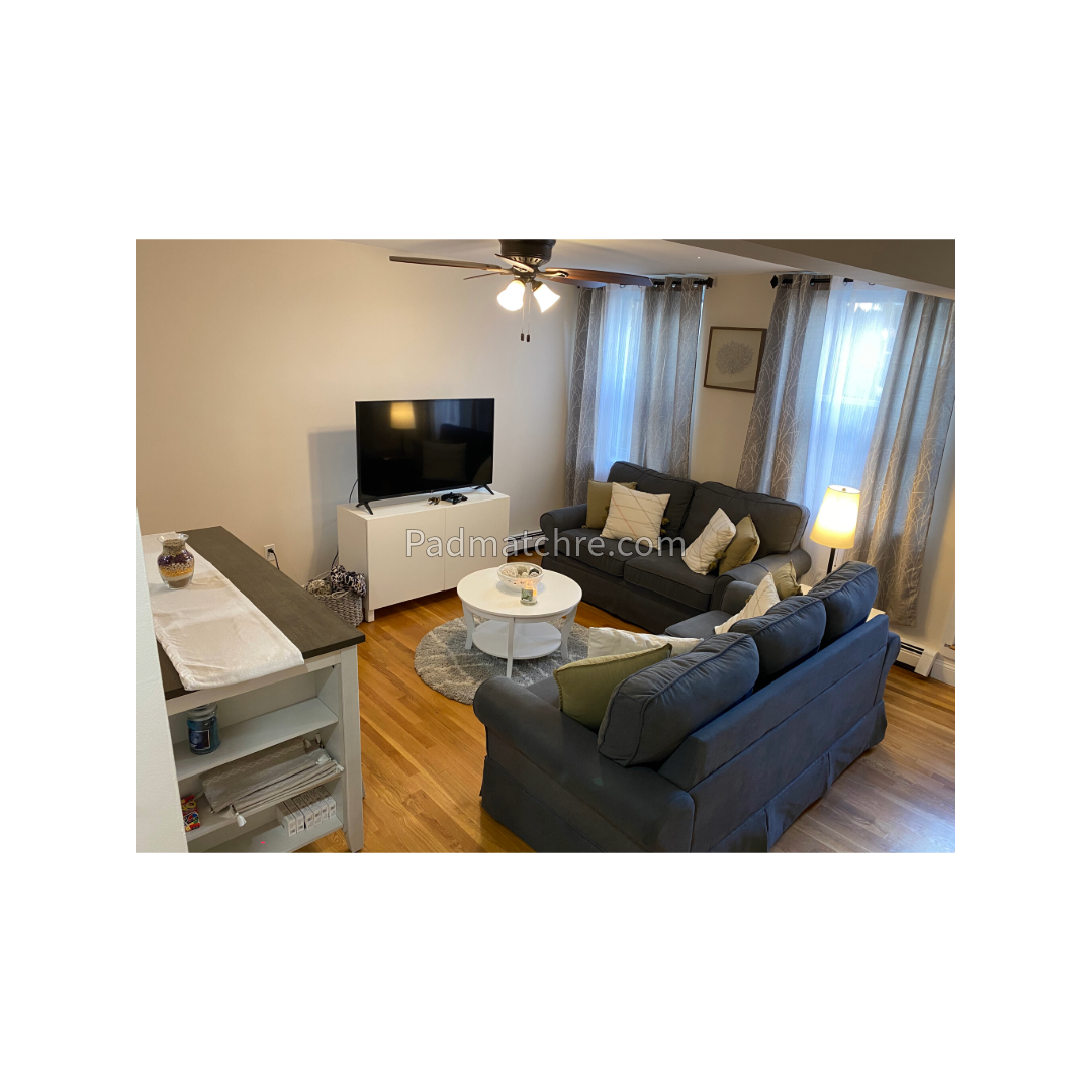 2 bed, 1 bath apartment for rent at 470 East 3rd St Unit 1, South Boston — photo 3 of 16