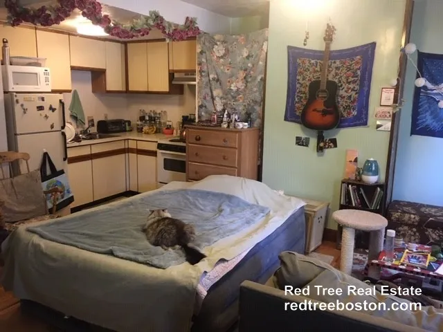 Studio bed, 1 bath apartment for rent at 471 Massachusetts Ave Unit 2-2, Roxbury