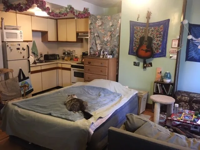 Studio bed, 1 bath apartment for rent at 471 Massachusetts Ave Unit 2-2, Roxbury — photo 4 of 6