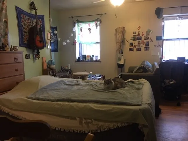 Studio bed, 1 bath apartment for rent at 471 Massachusetts Ave Unit 2-2, Roxbury — photo 3 of 6