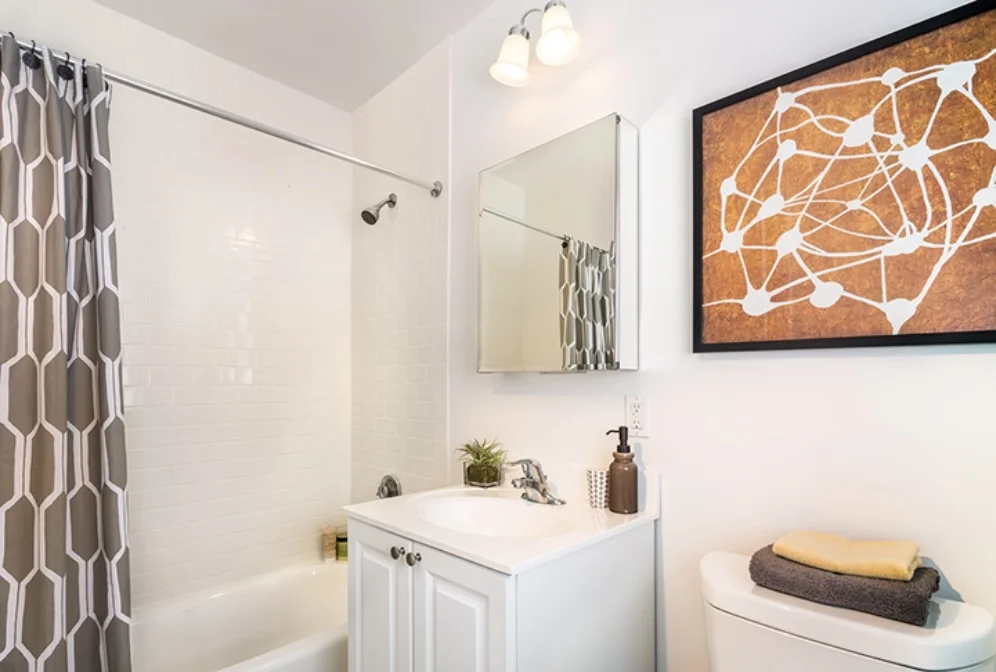 1 bed, 1.5 bath apartment for rent at 473 Vfw Pkwy Unit 1, Chestnut Hill — photo 6 of 6