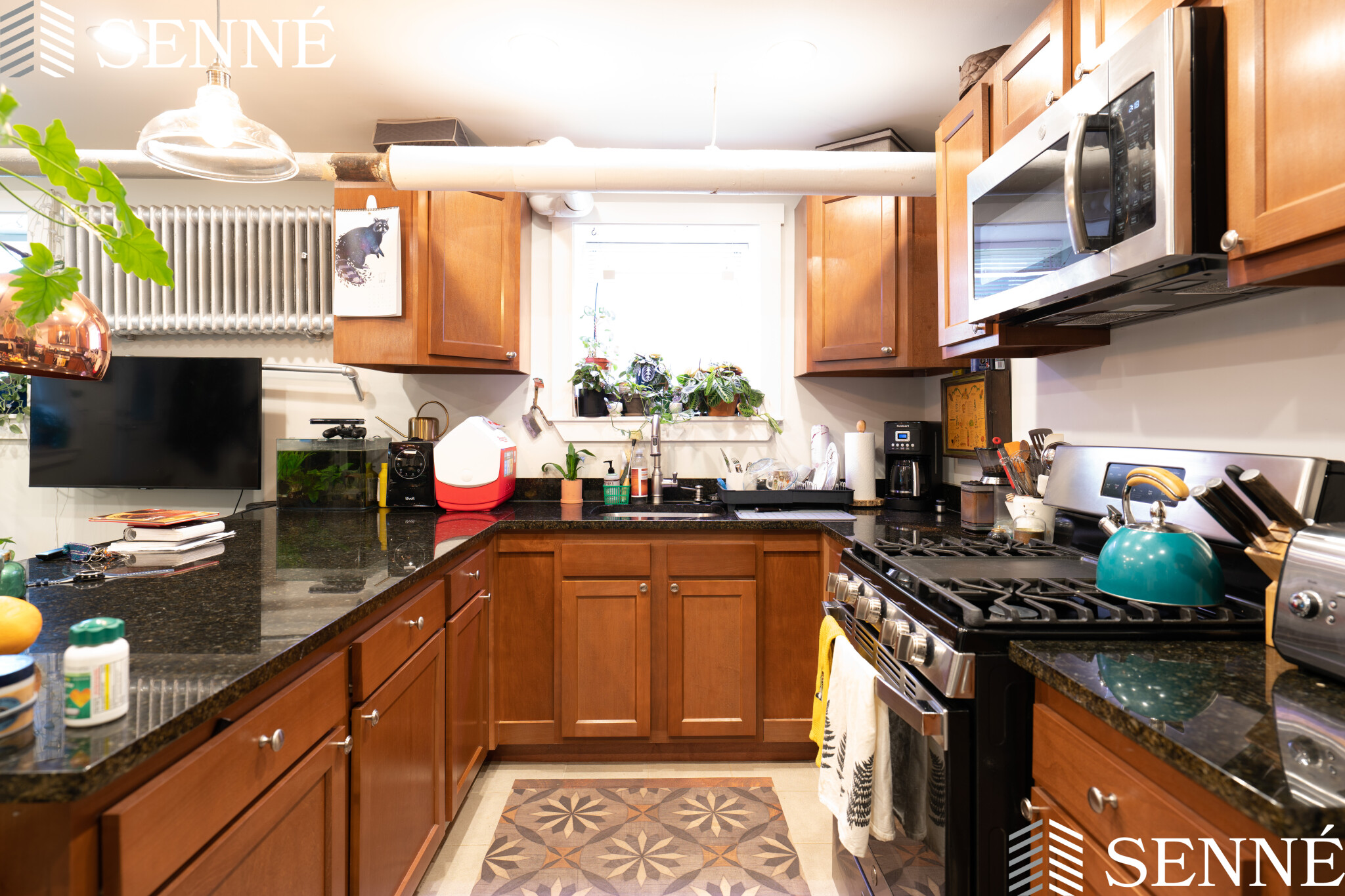 1 bed, 1 bath apartment for rent at 475 Broadway Unit 1, South Medford — photo 3 of 11