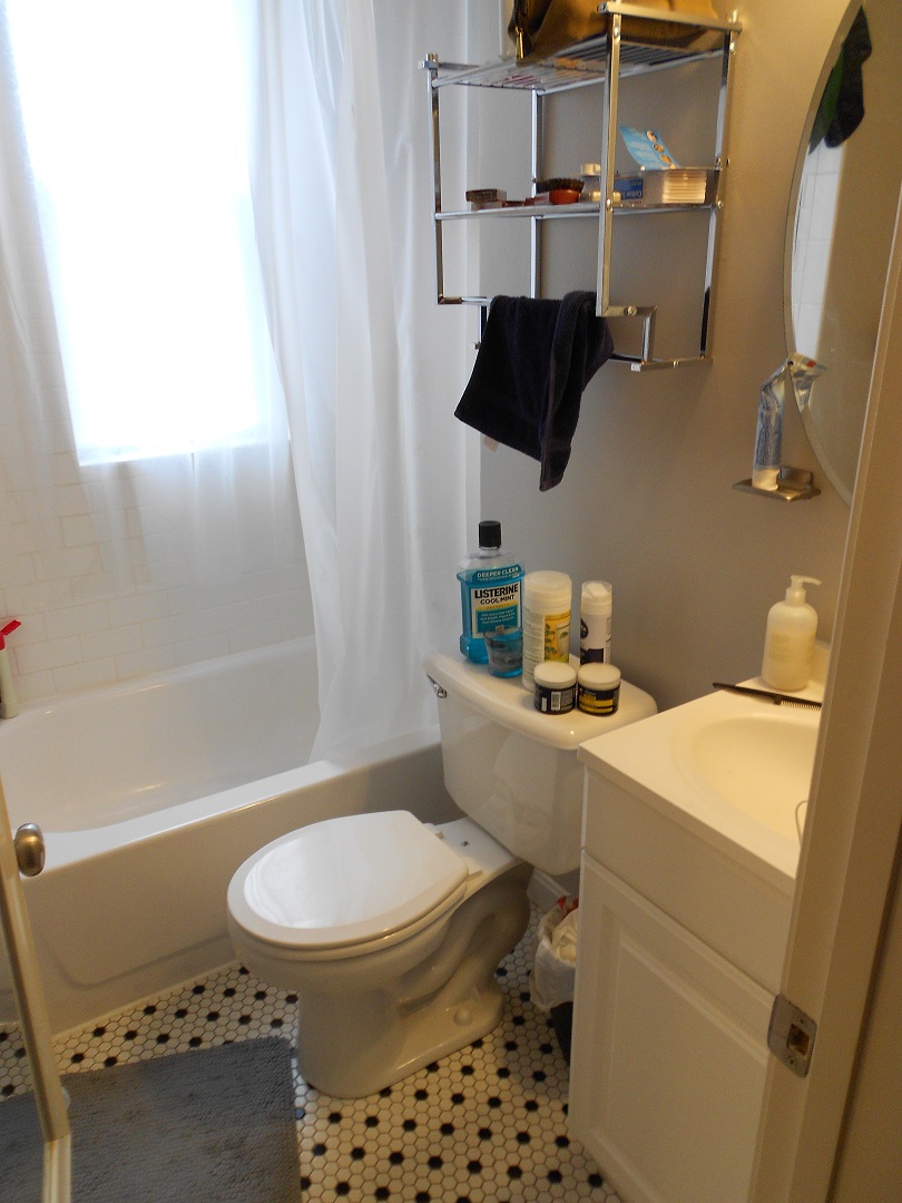 Studio bed, 1 bath apartment for rent at 48 Burbank St Unit 5, Fenway — photo 4 of 5