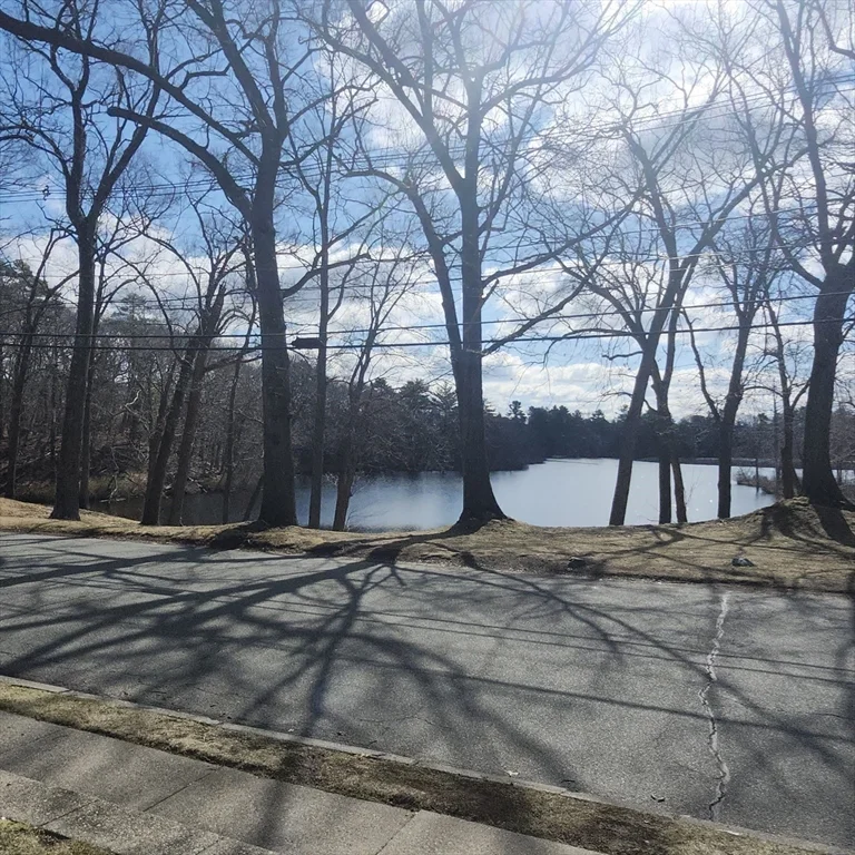 1 bed, 1 bath apartment for rent at 48 Charlesbank Way Unit A, Waltham — photo 11 of 12