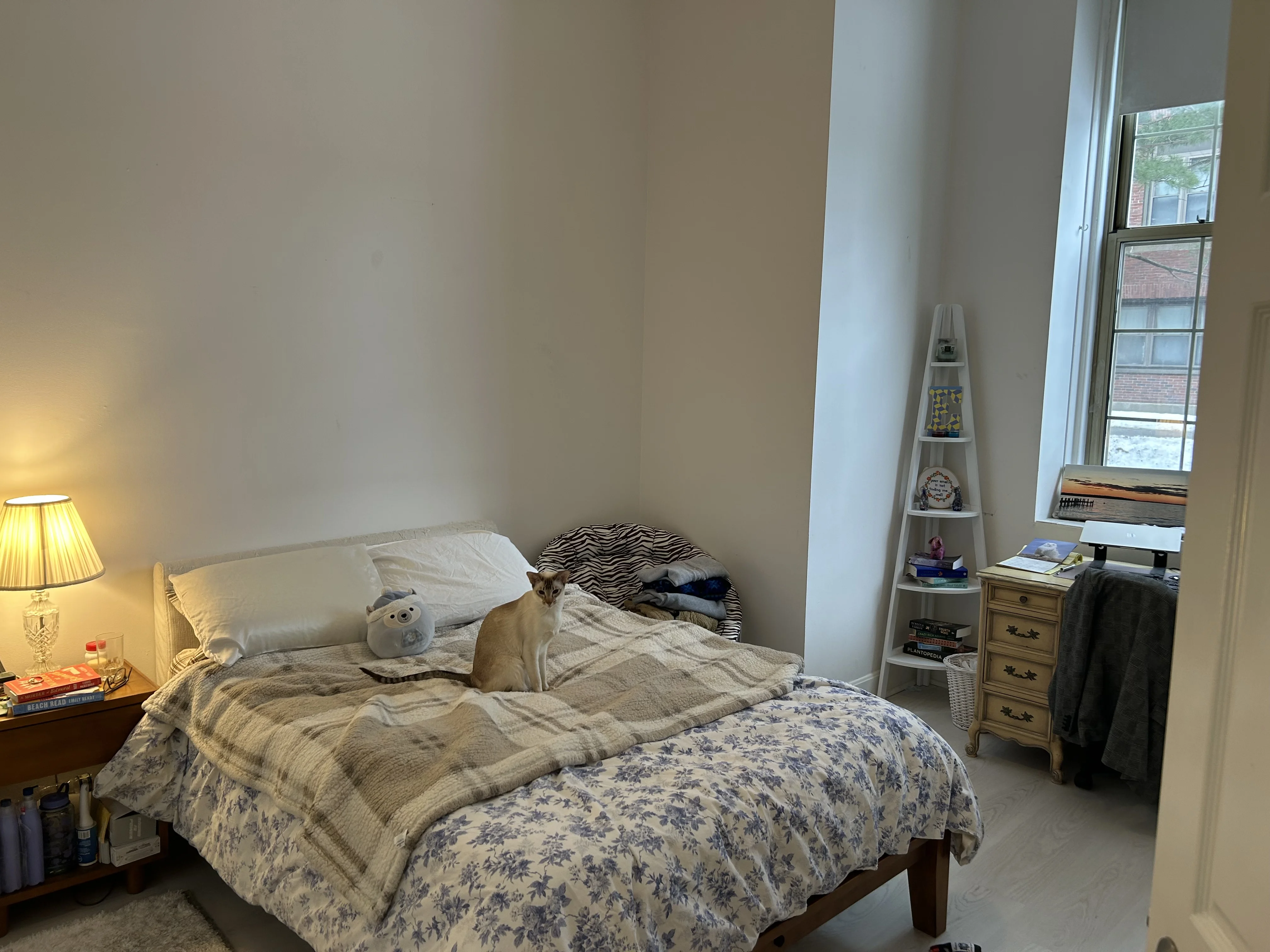2 bed, 1 bath apartment for rent at 48 Forest St Unit 106, Medford — photo 11 of 11