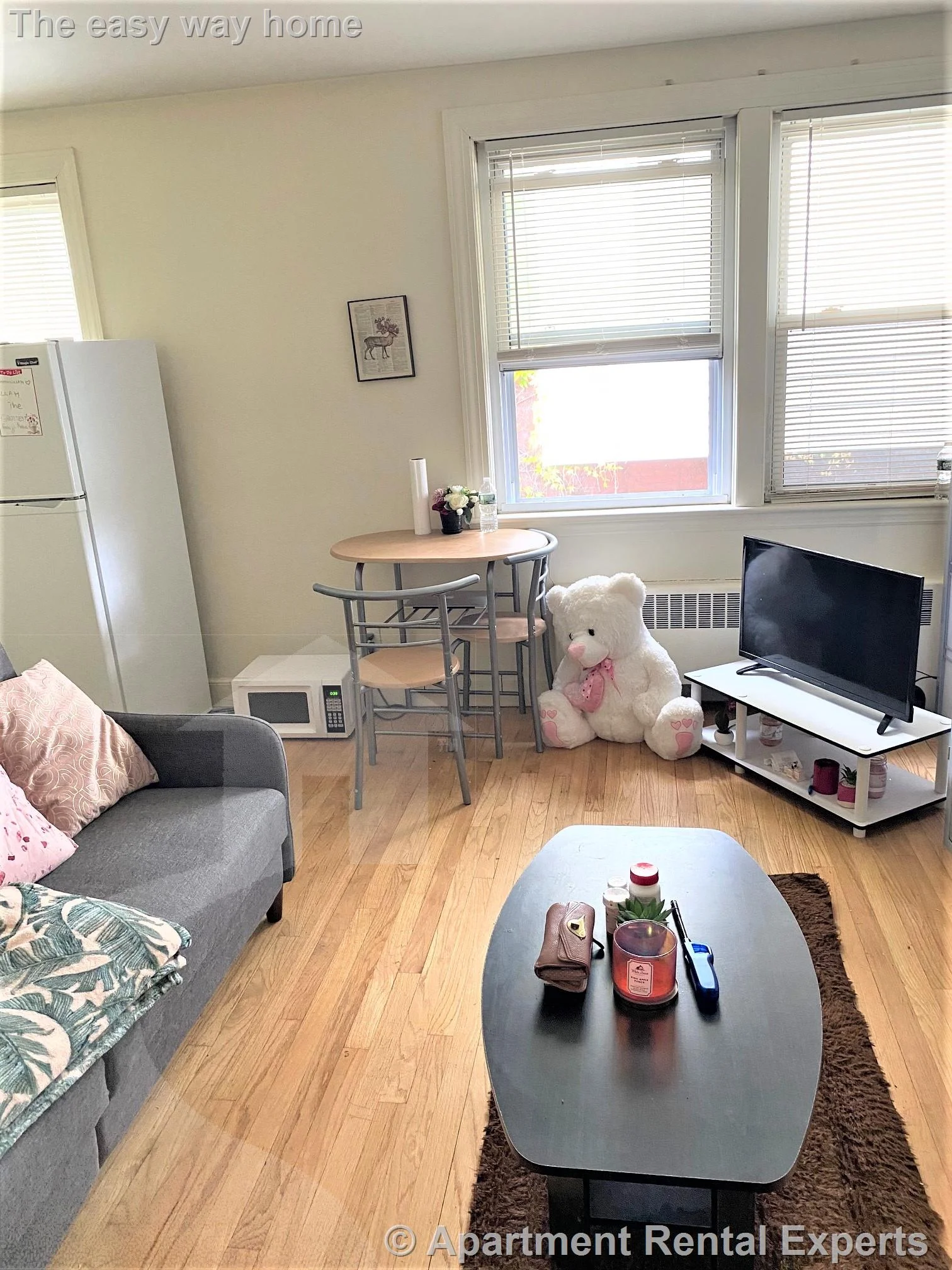 Studio bed, 1 bath apartment for rent at 48 Kirkland St Unit 9, Harvard Square — photo 4 of 9