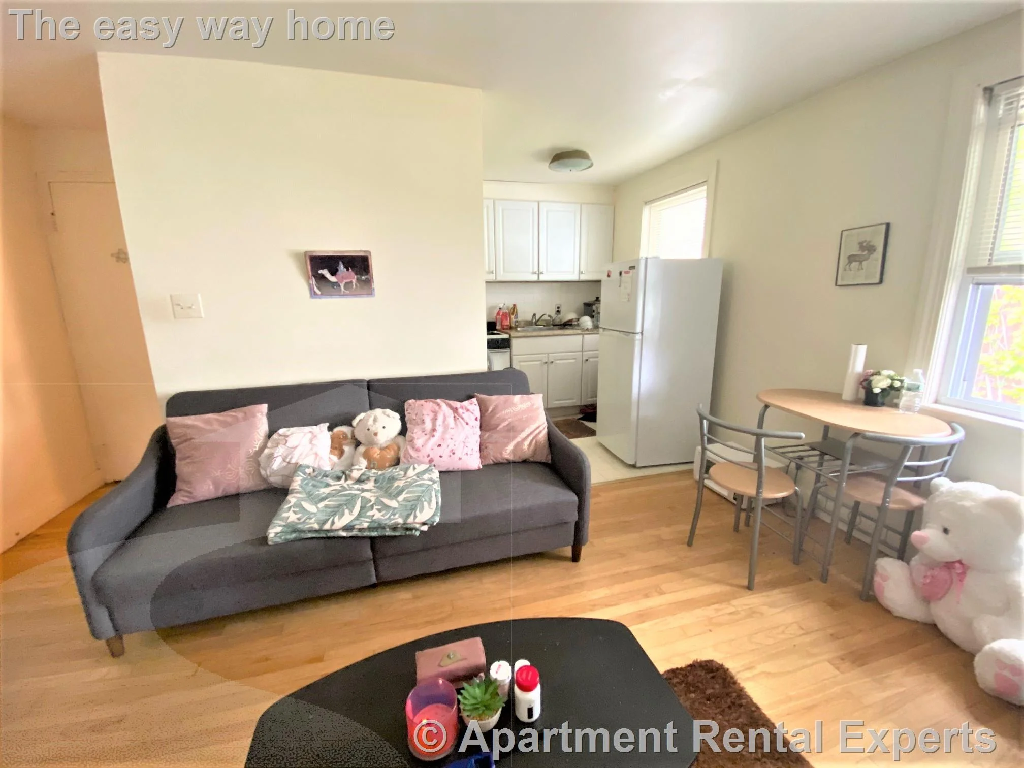 Studio bed, 1 bath apartment for rent at 48 Kirkland St Unit 9, Harvard Square — photo 1 of 9