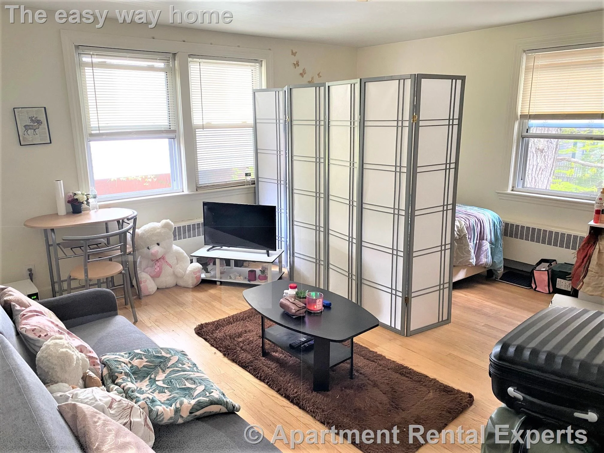 Studio bed, 1 bath apartment for rent at 48 Kirkland St Unit 9, Harvard Square — photo 2 of 9