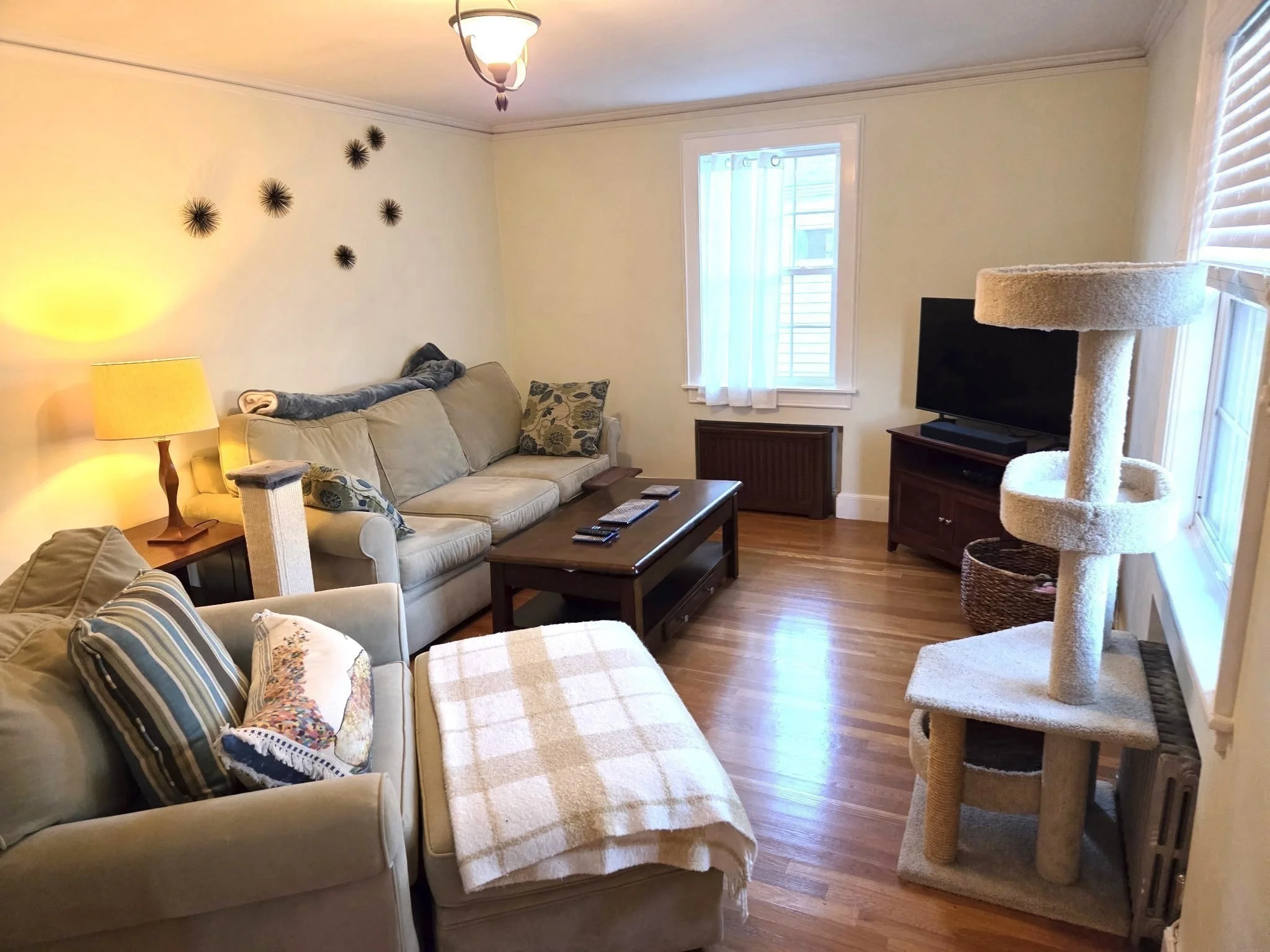3 bed, 2 bath apartment for rent at 48 Mary St Unit 2, Arlington — photo 5 of 17