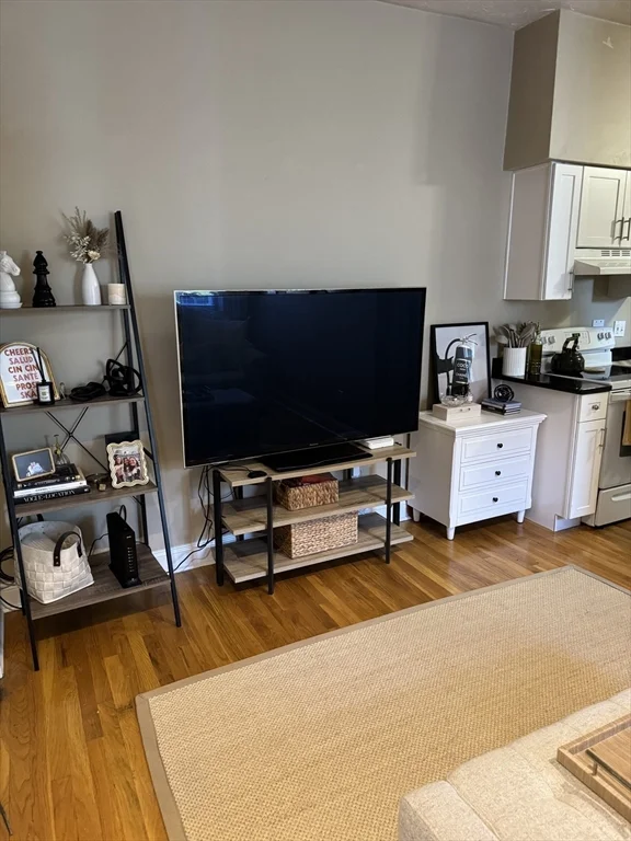2 bed, 1 bath apartment for rent at 48 Mercer St Unit 1, South Boston — photo 5 of 11