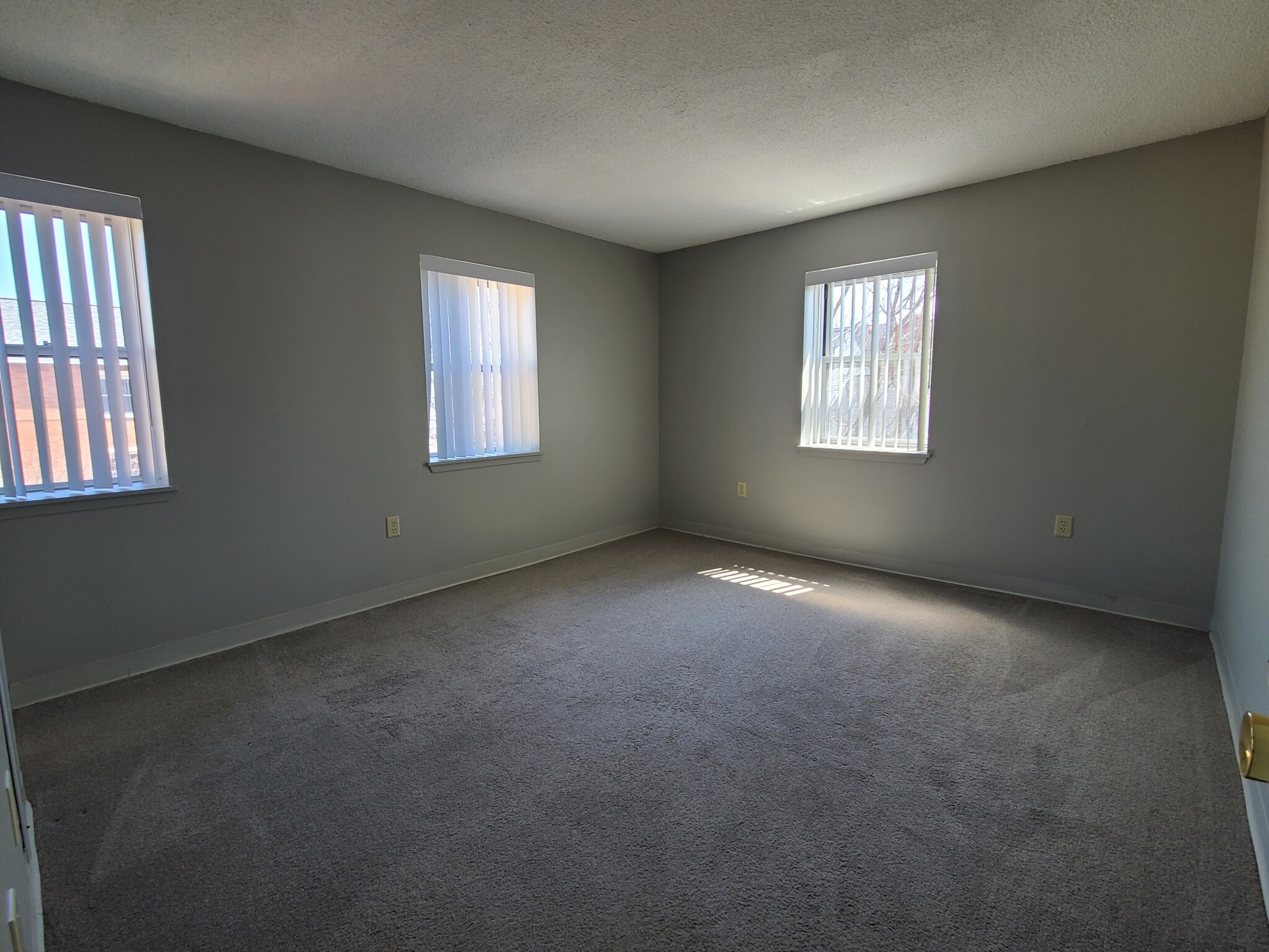 1 bed, 1 bath apartment for rent at 48 Peninsula Pl Unit 310, Dorchester — photo 3 of 5