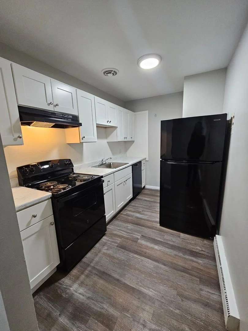 1 bed, 1 bath apartment for rent at 480 Norfolk St Unit 204, Mattapan — photo 5 of 10