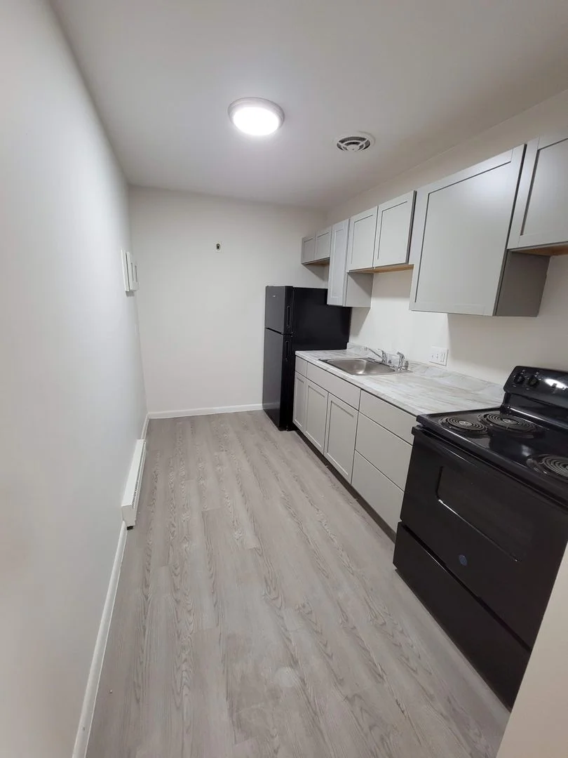 1 bed, 1 bath apartment for rent at 480 Norfolk St Unit 3, Mattapan — photo 4 of 10