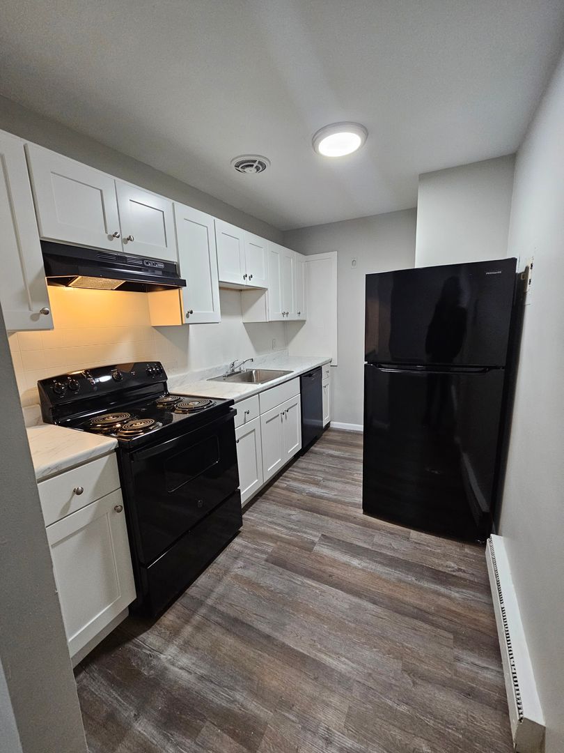 1 bed, 1 bath apartment for rent at 480 Norfolk St Unit 304, Mattapan — photo 5 of 10