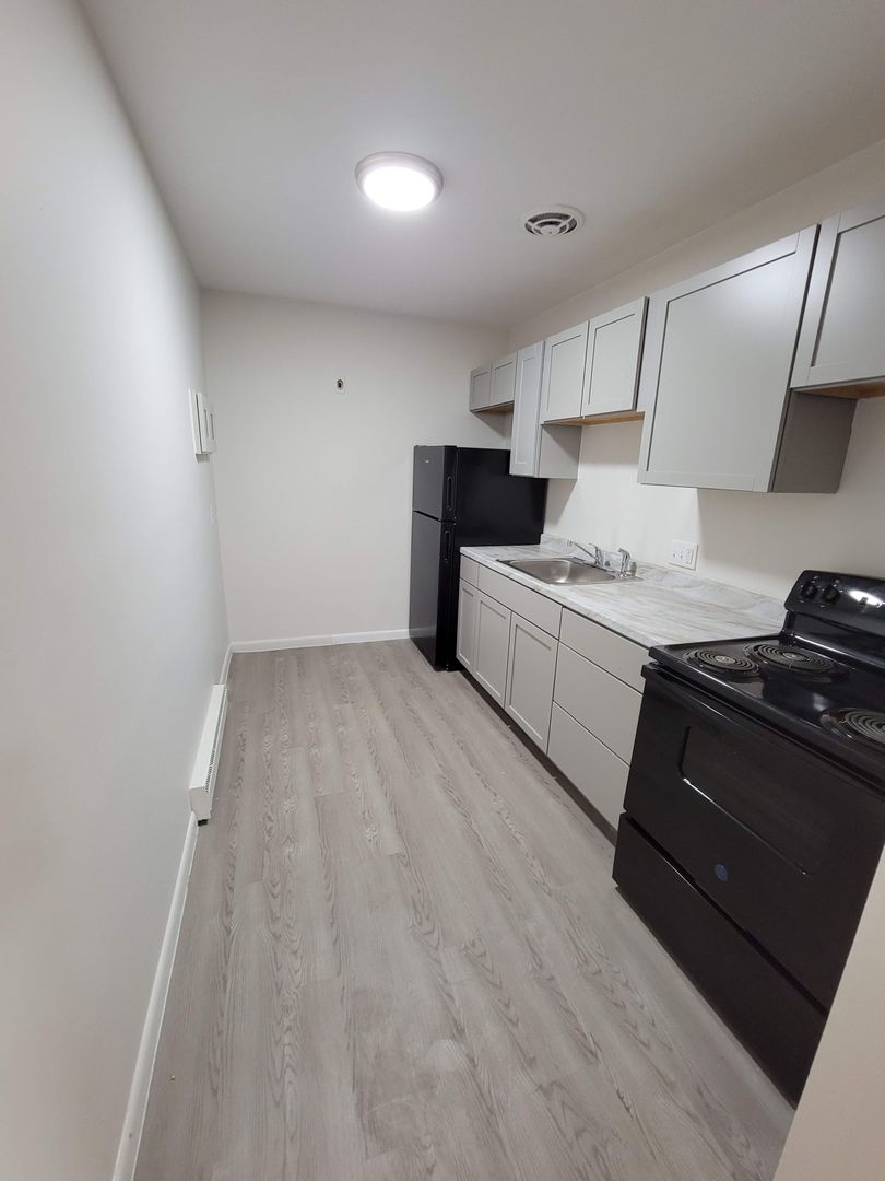 1 bed, 1 bath apartment for rent at 480 Norfolk St Unit 304, Mattapan — photo 4 of 10