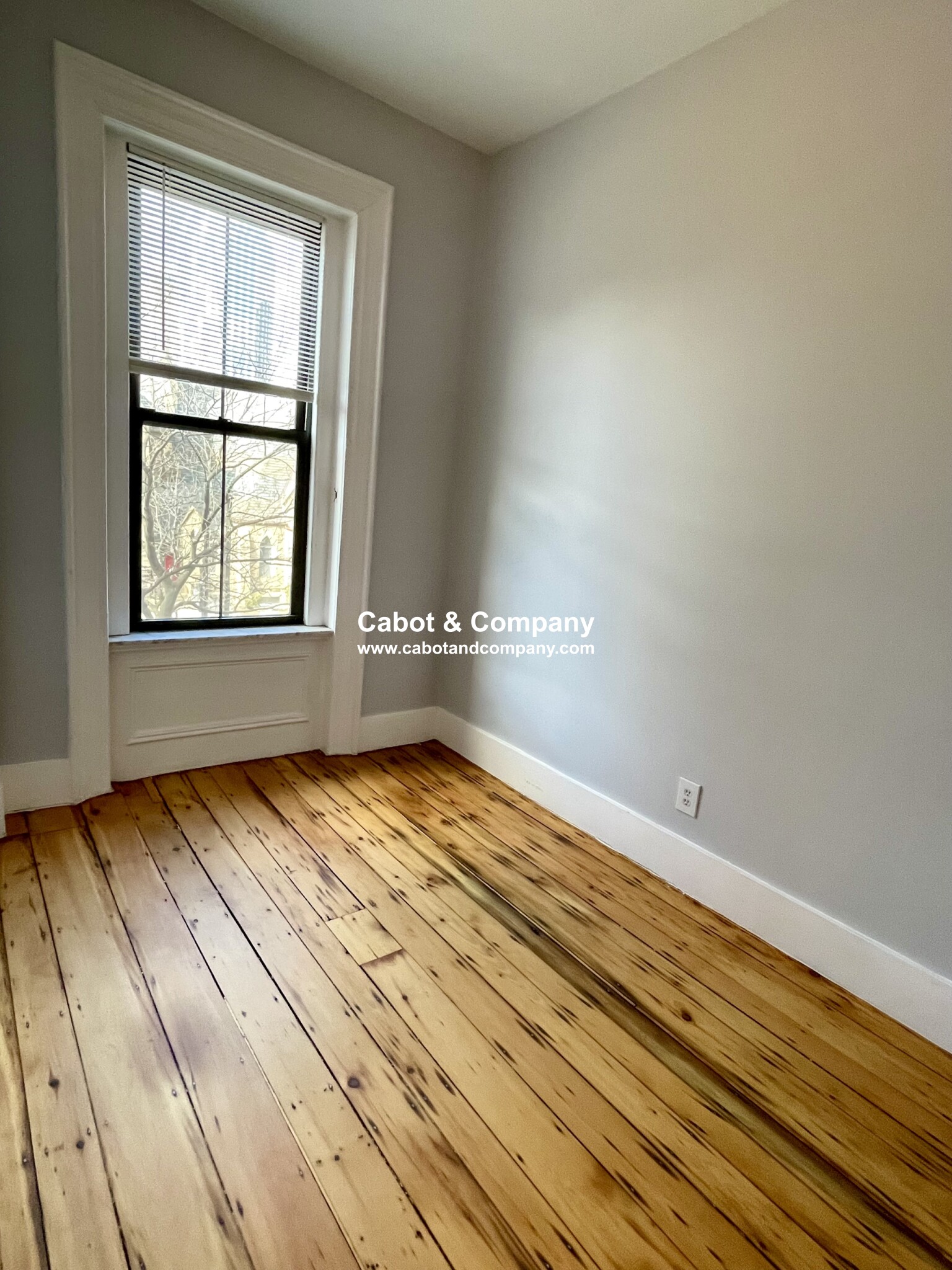 1.5 bed, 1 bath apartment for rent at 482 Columbus Ave Unit 3A, South End — photo 8 of 12