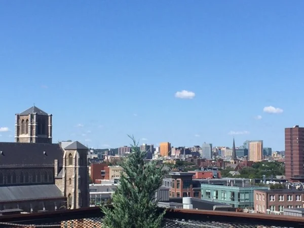 1 bed, 1 bath apartment for rent at 485 Harrison Ave Unit 306, South End — photo 14 of 14