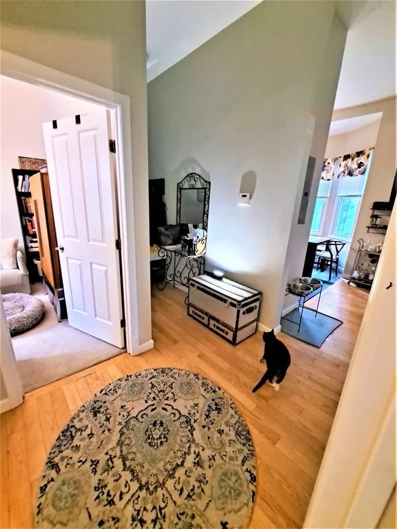 2 bed, 1 bath apartment for rent at 49 Cedar St Unit 1 Rear, Roxbury — photo 8 of 15