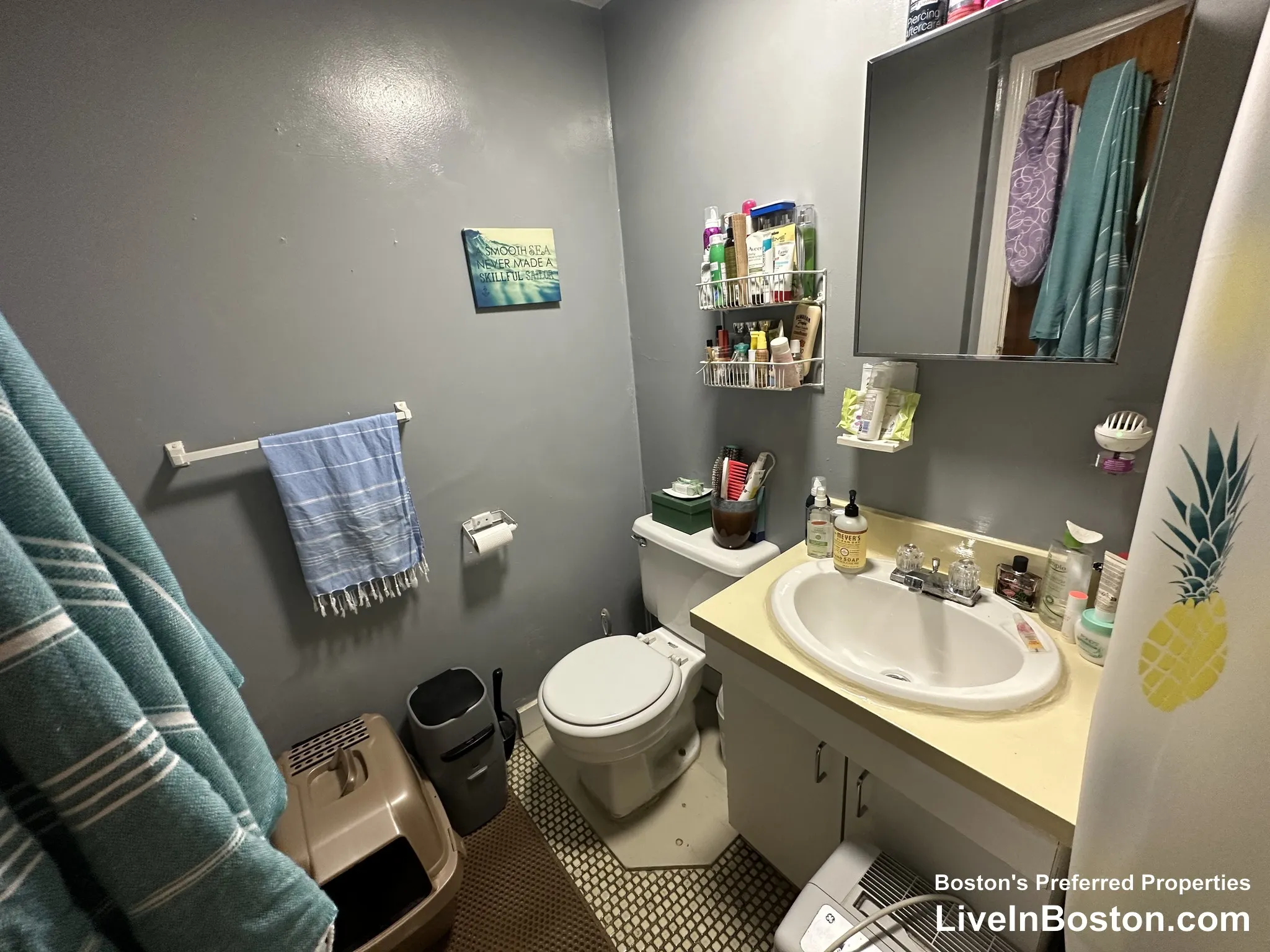 Studio bed, 1 bath apartment for rent at 49 Hemenway St Unit 2, Fenway — photo 6 of 6