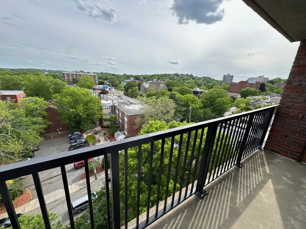 1 bed, 1 bath apartment for rent at 49 Marion St Unit 10D, Coolidge Corner — photo 1 of 4