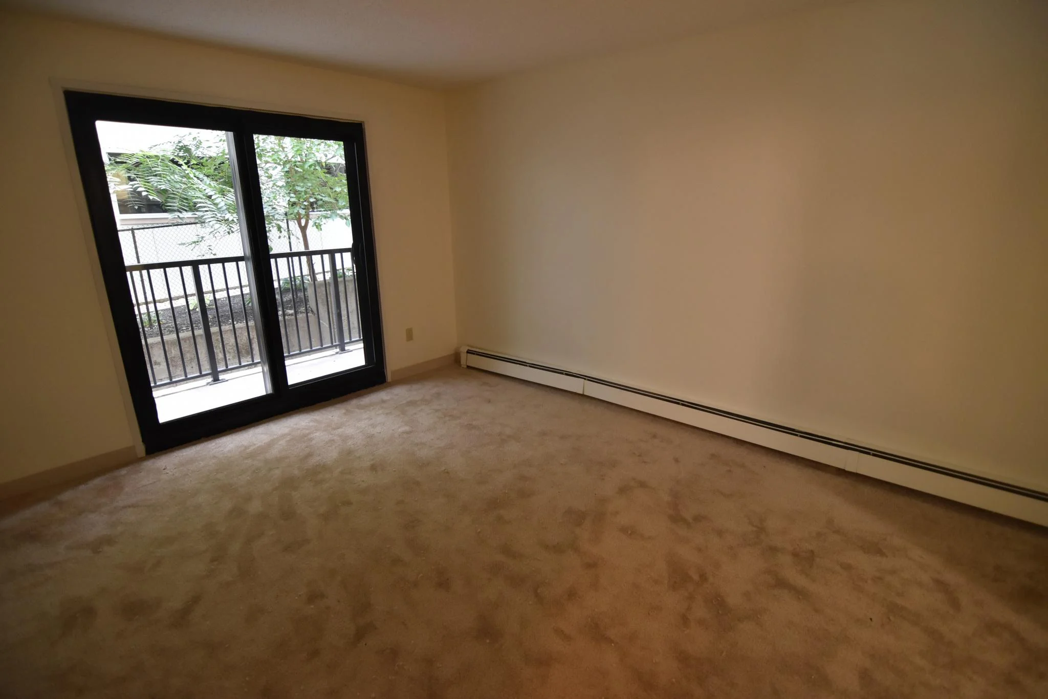 2 bed, 1 bath apartment for rent at 49 Marion St Unit 1B, Coolidge Corner — photo 4 of 11