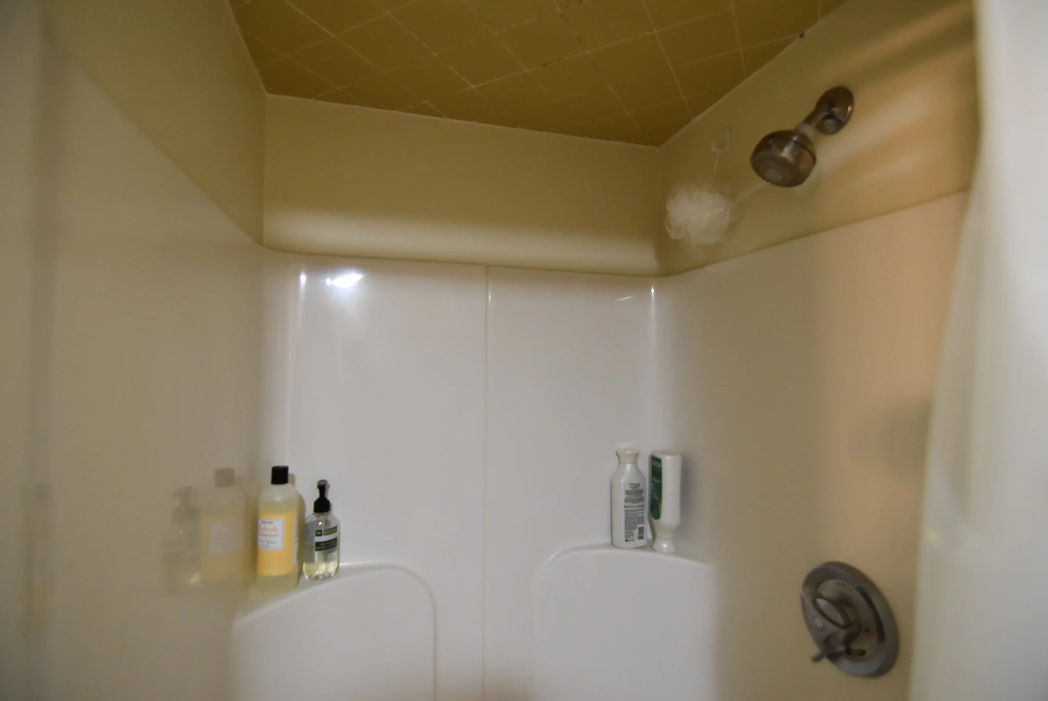 2 bed, 2 bath apartment for rent at 49 Marion St Unit 2A, Coolidge Corner — photo 13 of 18