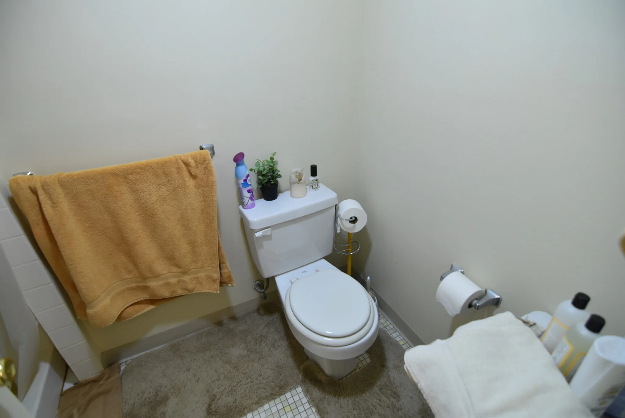 2 bed, 2 bath apartment for rent at 49 Marion St Unit 2A, Coolidge Corner — photo 12 of 18