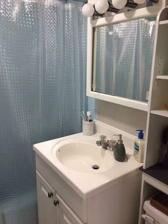 2 bed, 1 bath apartment for rent at 49 Marion St Unit 2C, Coolidge Corner — photo 7 of 16