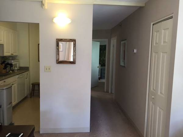 2 bed, 1 bath apartment for rent at 49 Marion St Unit 2C, Coolidge Corner — photo 2 of 16