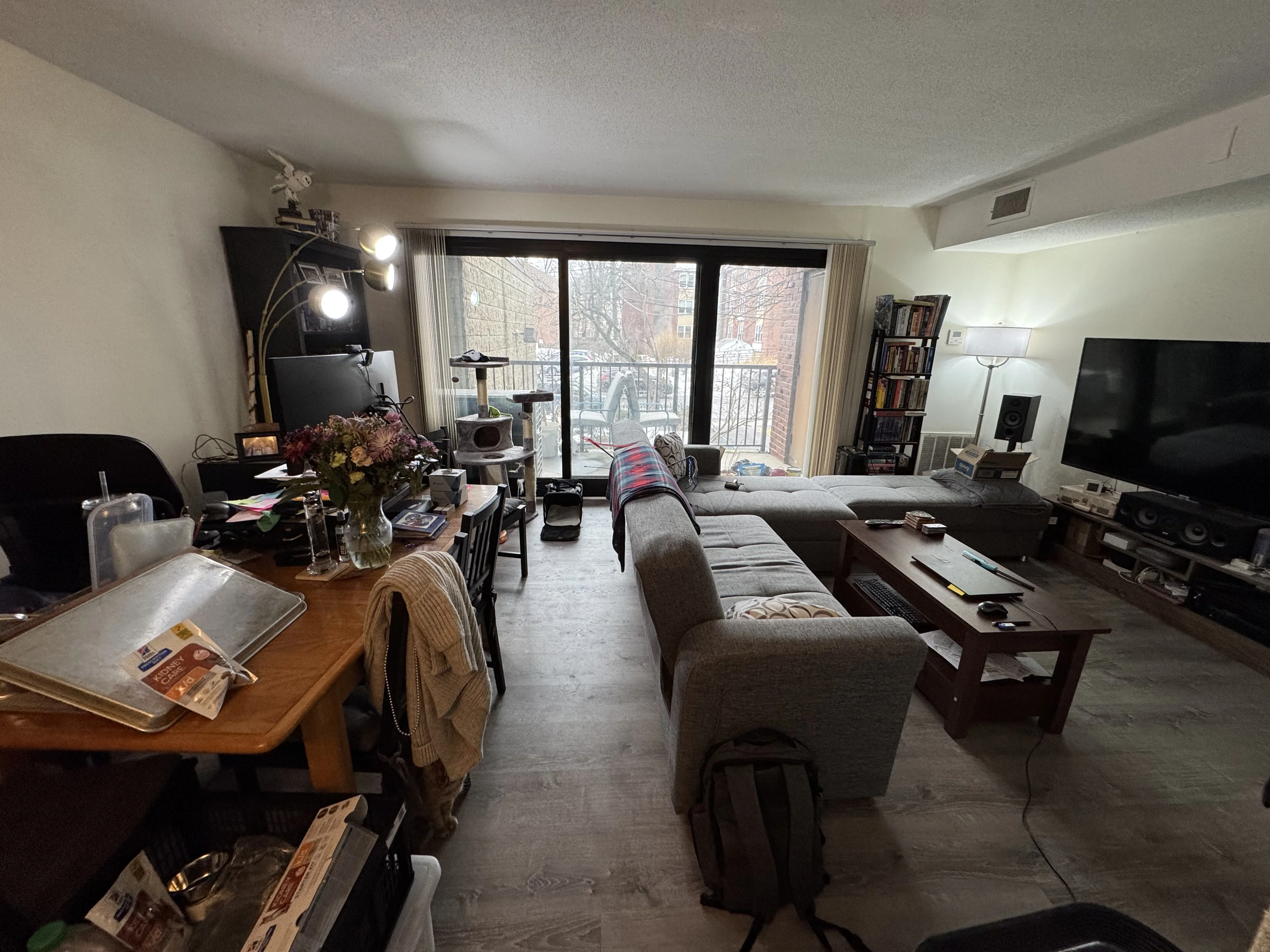 1 bed, 1 bath apartment for rent at 49 Marion St Unit 2D, Coolidge Corner — photo 2 of 17
