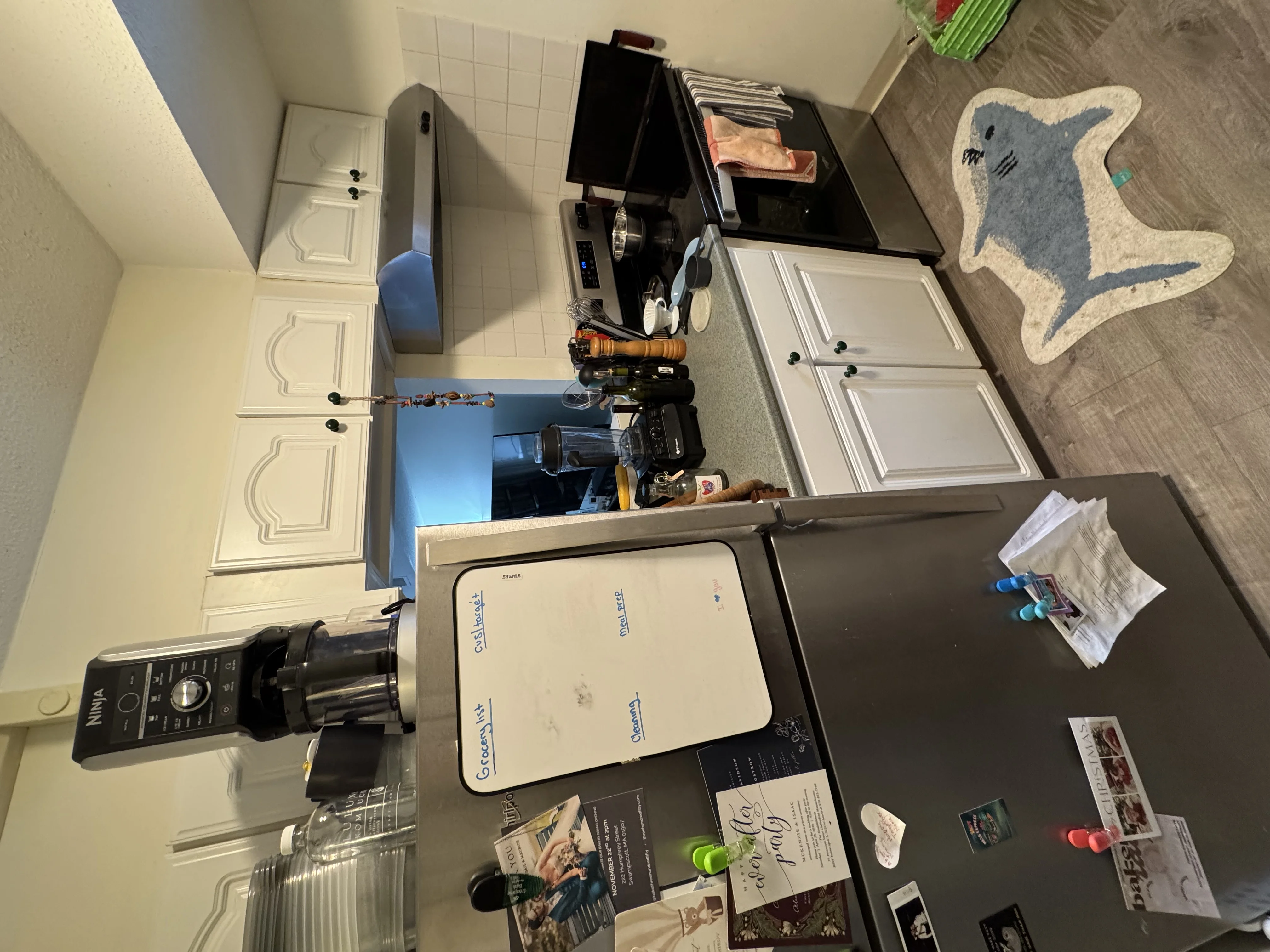 1 bed, 1 bath apartment for rent at 49 Marion St Unit 2D, Coolidge Corner — photo 6 of 17