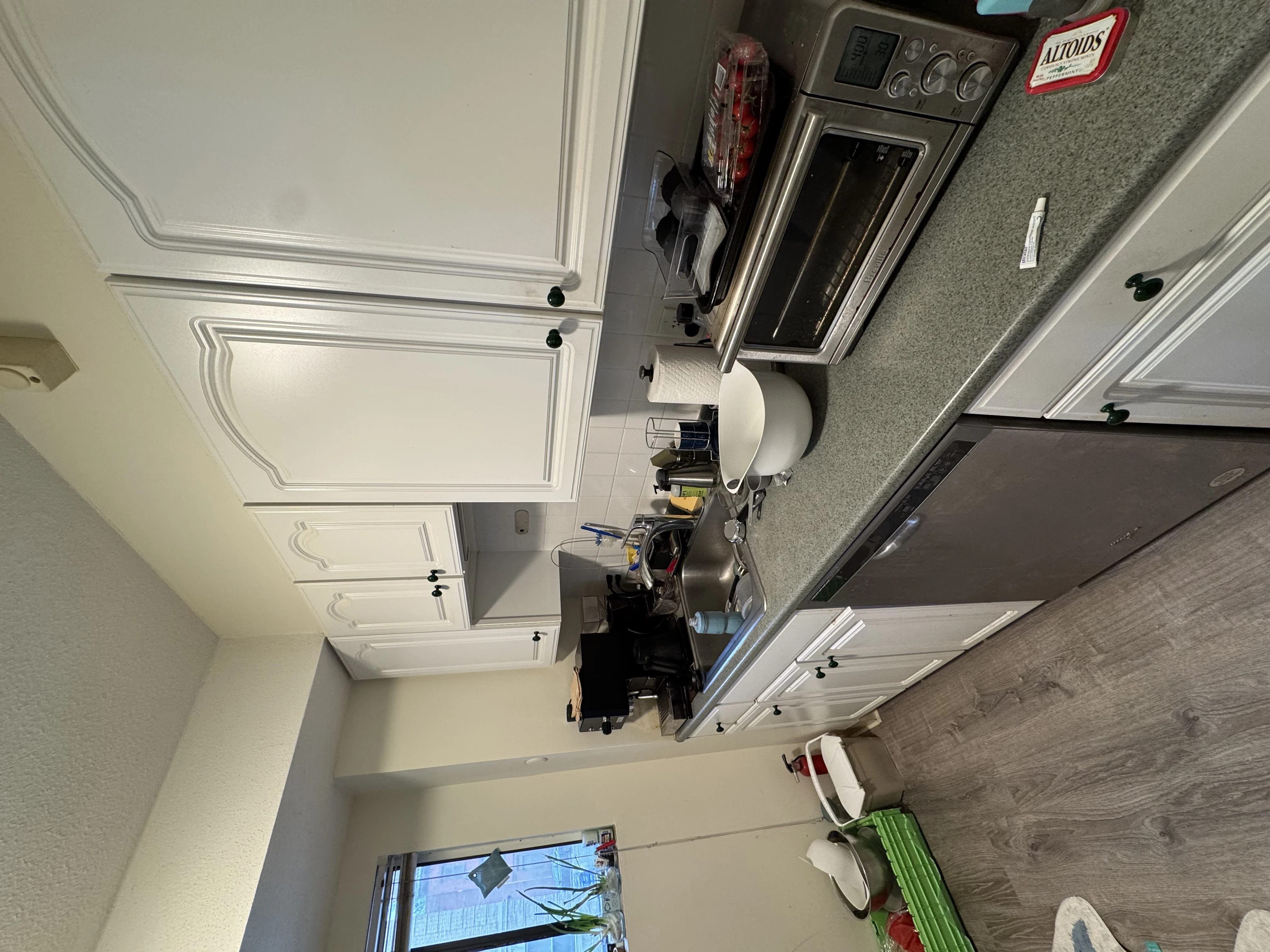 1 bed, 1 bath apartment for rent at 49 Marion St Unit 2D, Coolidge Corner — photo 4 of 17