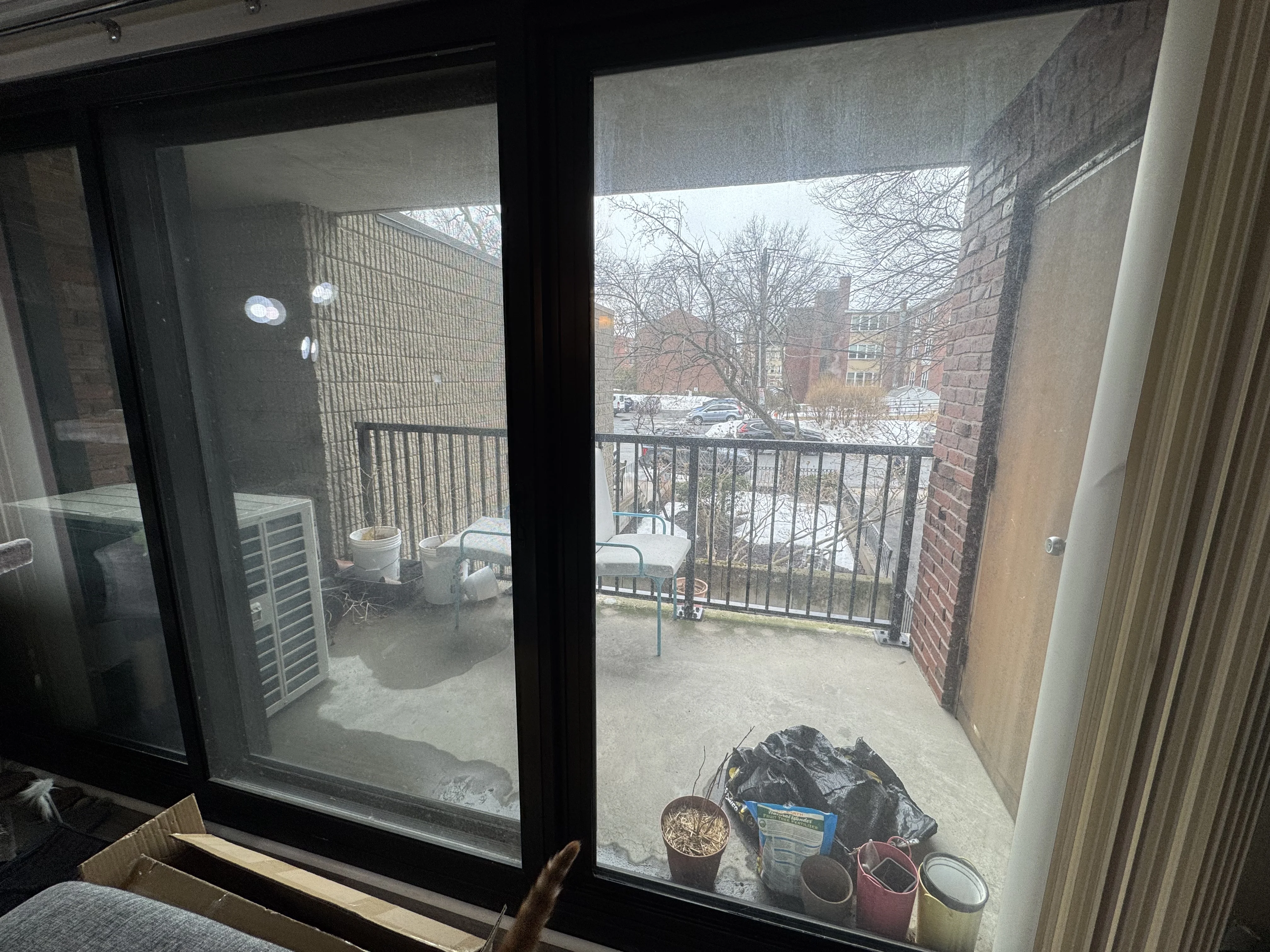 1 bed, 1 bath apartment for rent at 49 Marion St Unit 2D, Coolidge Corner — photo 8 of 17