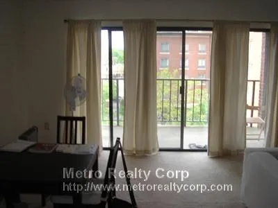 2 bed, 1 bath apartment for rent at 49 Marion St Unit 5B, Coolidge Corner — photo 1 of 10