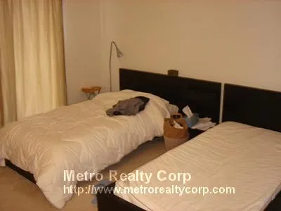 2 bed, 1 bath apartment for rent at 49 Marion St Unit 5B, Coolidge Corner — photo 5 of 10