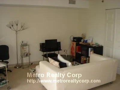 2 bed, 1 bath apartment for rent at 49 Marion St Unit 5B, Coolidge Corner — photo 2 of 10
