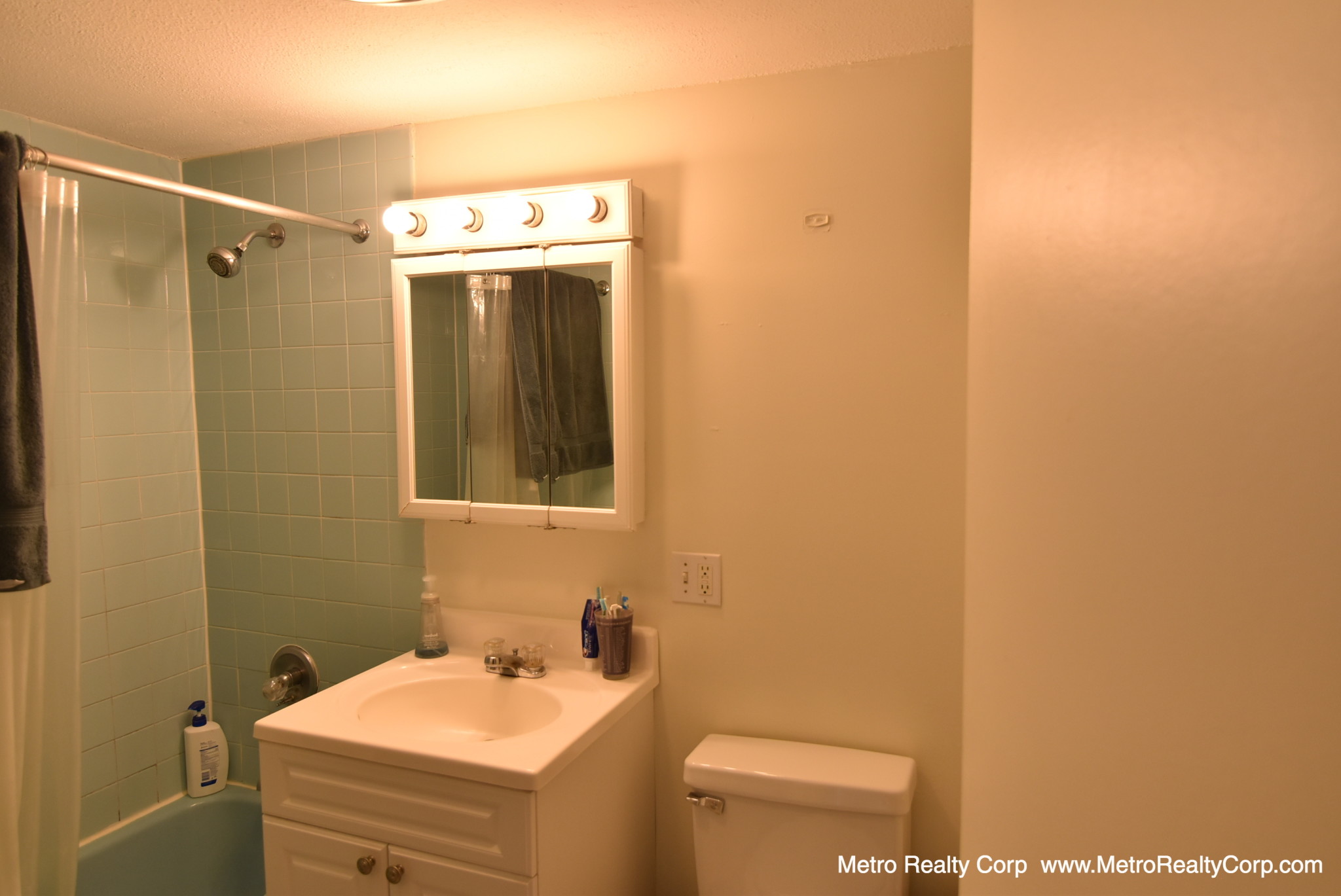 1 bed, 1 bath apartment for rent at 49 Marion St Unit 6D, Coolidge Corner — photo 6 of 11